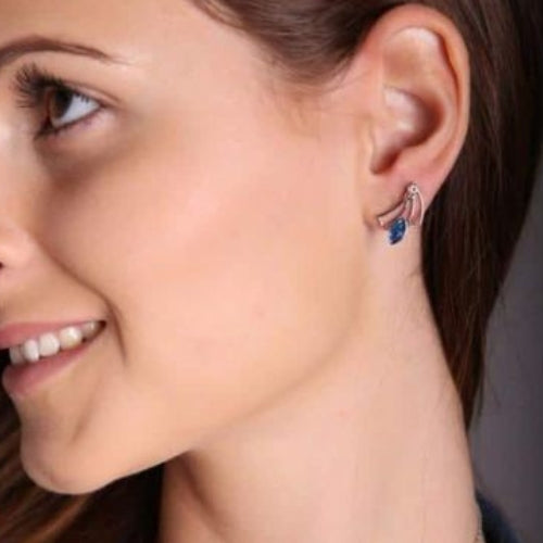 boucles cristal Swarovski