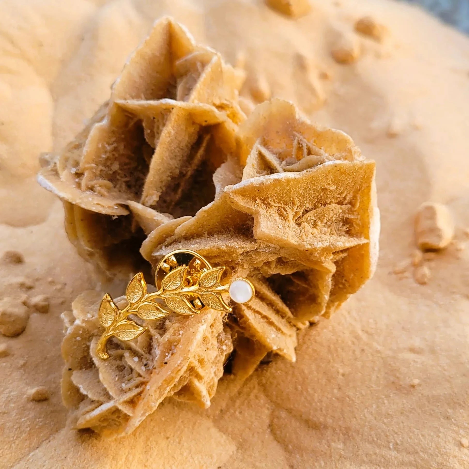 broche pour vêtement Laurier en nacre et laiton recouvert d’or fin