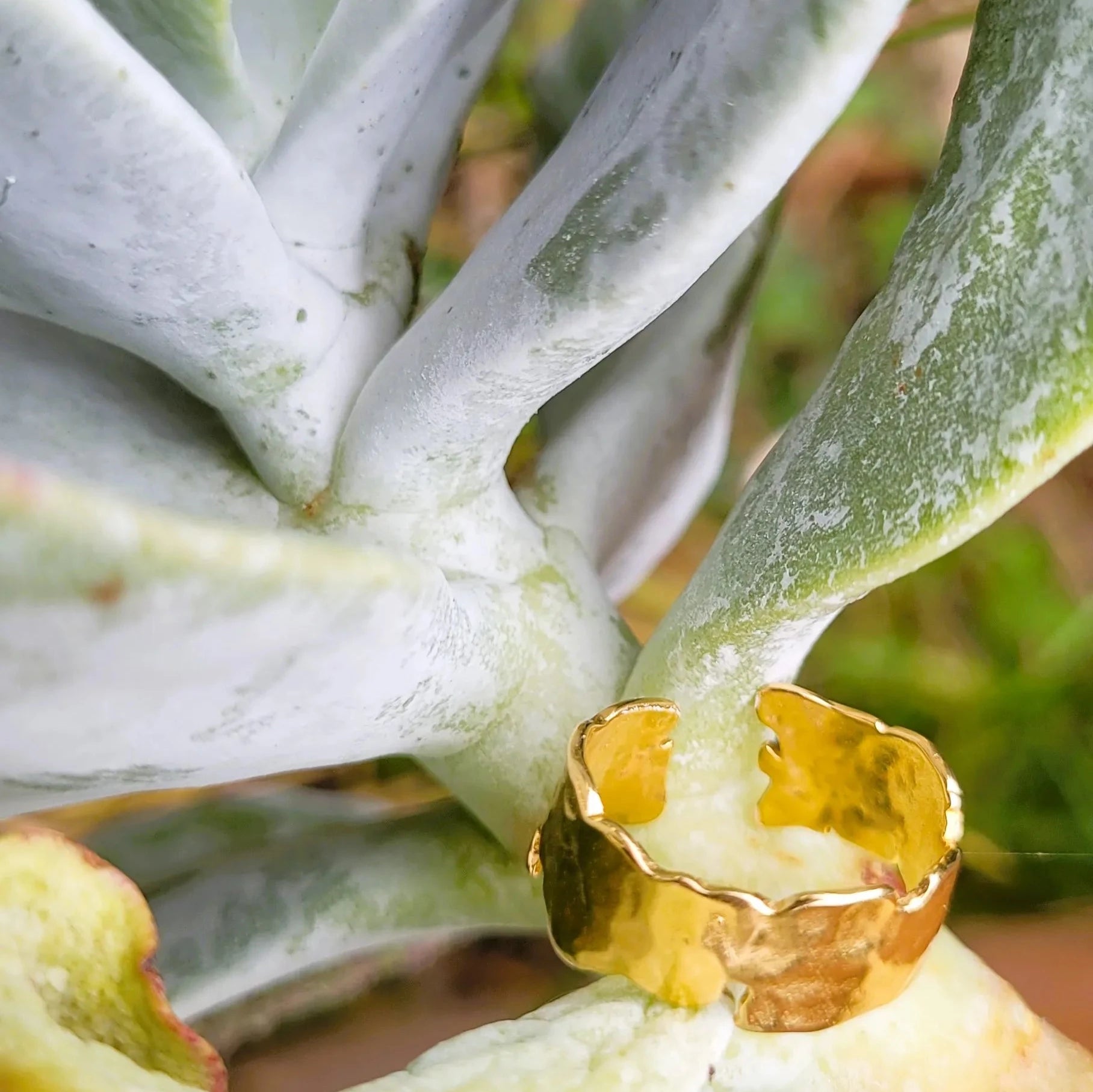 guide de taille pour les bagues pour femmes Arya en laiton recouvert d’or